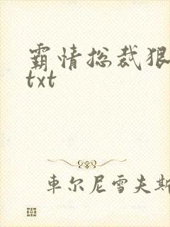 霸情总裁狠狠爱txt