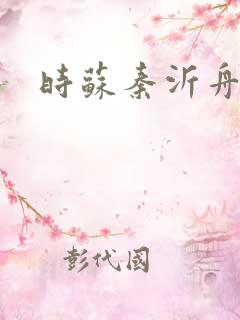 时苏秦沂舟小说