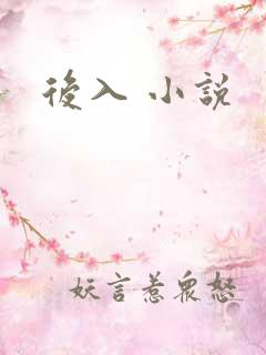 后入 小说