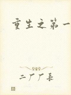 重生之第一名媛