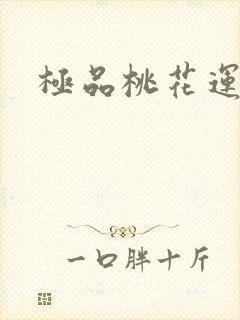 极品桃花运下载