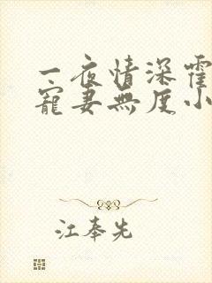 一夜情深霍先生宠妻无度小说免费阅读