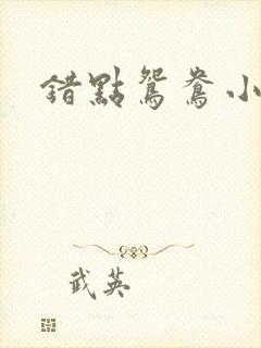 错点鸳鸯小说