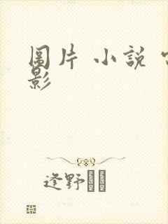 图片 小说 电影