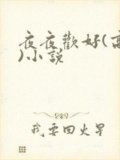 夜夜欢好(高h)小说