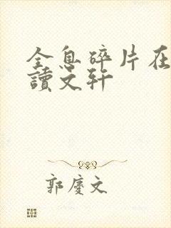 全息碎片在线阅读文轩