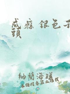 成瘾 银色子弹头