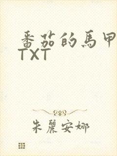 番茄的马甲小说TXT