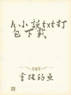 h小说txt打包下载