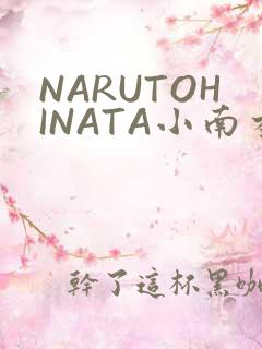 NARUTOHINATA小南本子