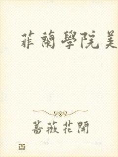 菲兰学院美男帮