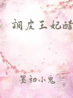调皮王妃醋王爷