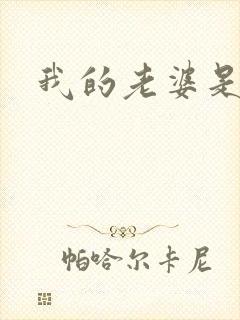 我的老婆是火影