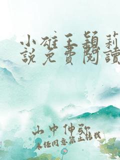 小雄王颖莉的小说免费阅读全文