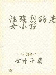 性强烈的老年妇女小说