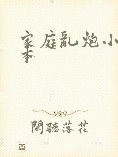 家庭乱炮小说全本