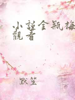 小说金瓶梅在线观看