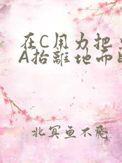 在C用力把桌腿A抬离地面时小说