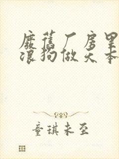 废旧厂房里和流浪狗做天本