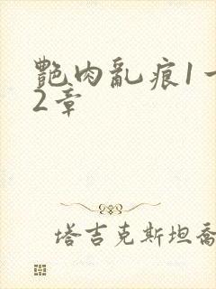 艳肉乱痕1一12章