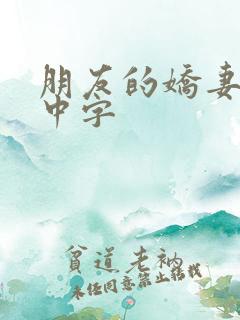 朋友的娇妻hd中字