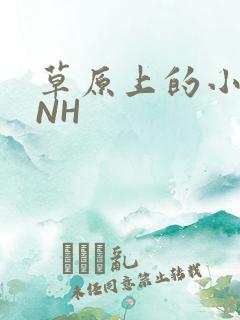 草原上的小公主NH