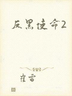 反黑使命2