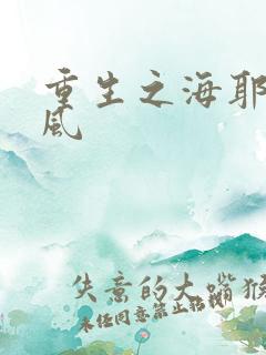 重生之海耶斯旋风
