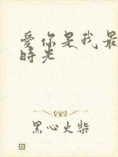 爱你是我最好的时光