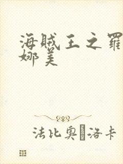 海贼王之罗宾h娜美