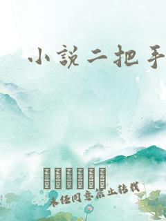 小说二把手