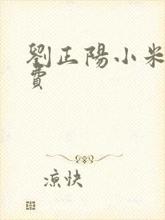 刘正阳小米多免费