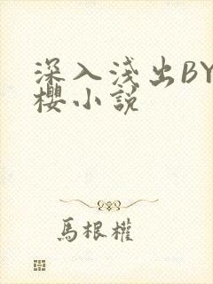 深入浅出BY胖樱小说
