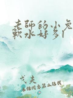 老师的小兔子好软水好多l