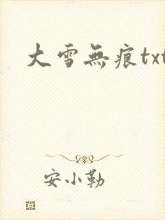 大雪无痕txt