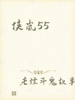 侠岚55
