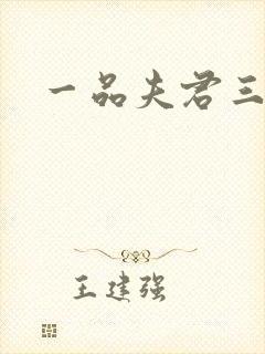 一品夫君三流妻