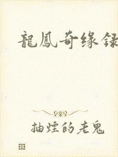 龙凤奇缘录