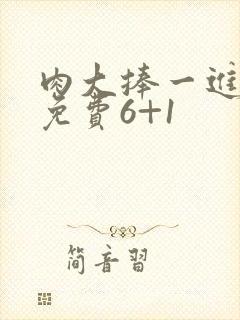 肉大捧一进一出免费6+1