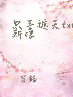 只手遮天txt新浪