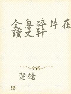 全息碎片在线阅读文轩