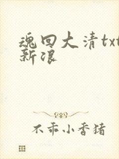 魂回大清txt新浪