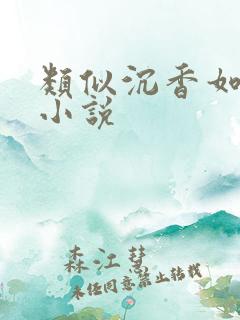 类似沉香如屑的小说