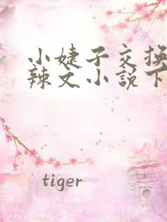 小婕子交换系列辣文小说下载