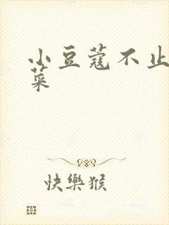 小豆蔻不止是颗菜