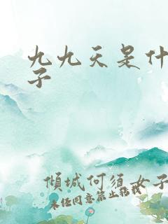 九九天是什么日子