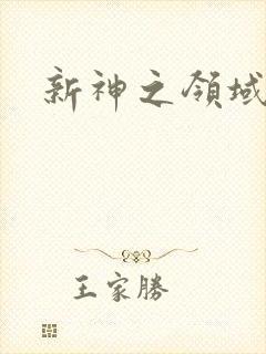 新神之领域