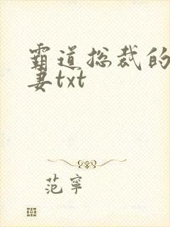 霸道总裁的挂名妻txt