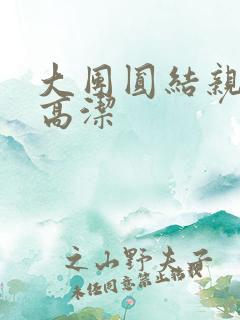 大团圆结亲情会高洁