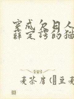 穿成欠日人设后薛定谔的猫咖